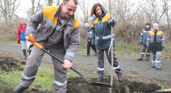 Придніпровська ТЕС висадила молоді клени