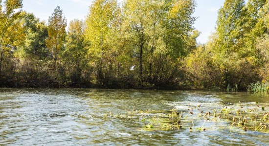 питьевая вода_Днепр