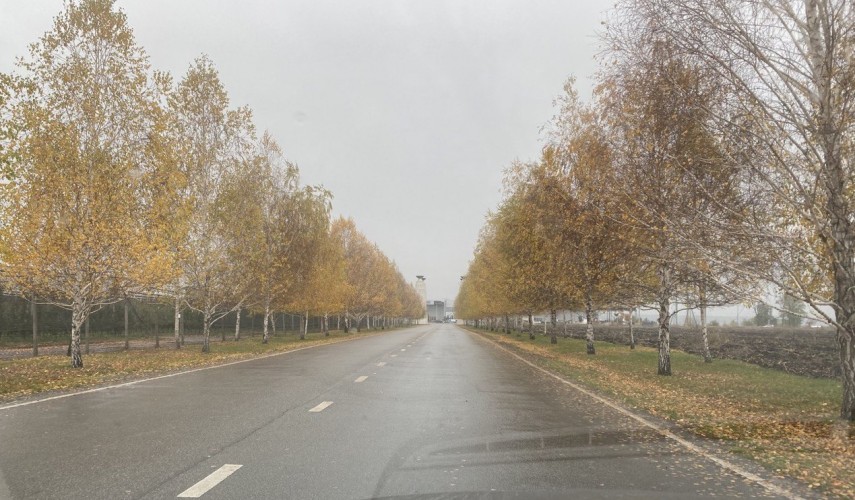 погода