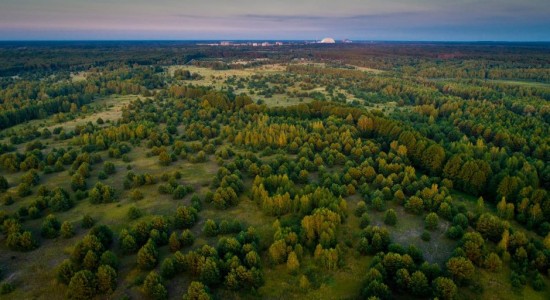 Чернобыльский заповедник