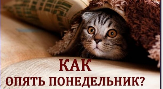 понедельник
