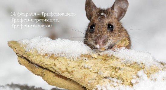приметы
