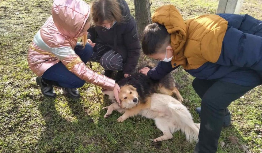 притулок для тварин_діти