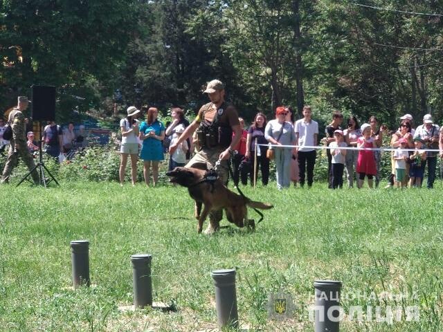 виставка собак_Новомосковськ