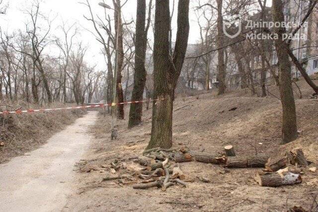 аварійні дерева_парк Глоби