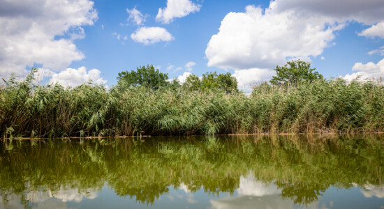 река_вода