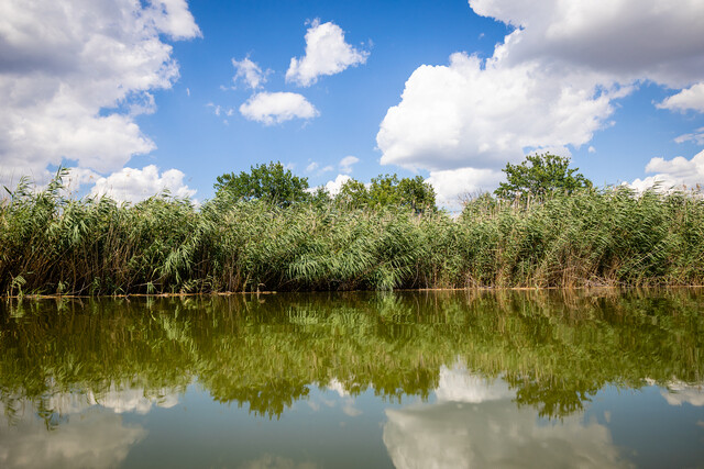 река_вода