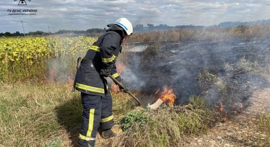 пожежа в екосистемах_Дніпропетровщина