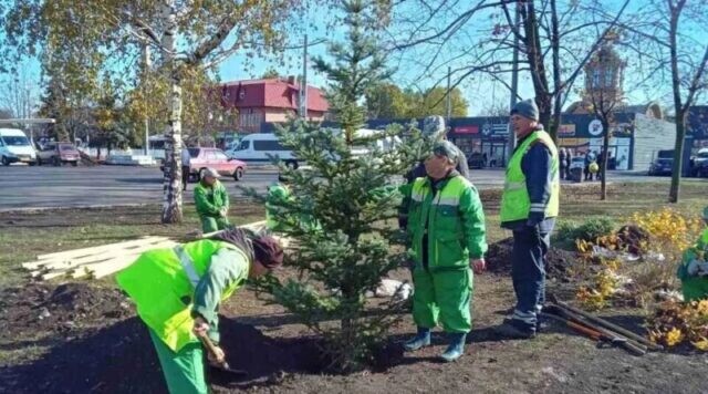 Комунальники Кривого Рогу додали зелені та кольору до міських скверів