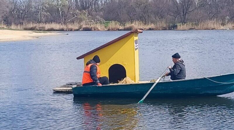 У Самарі перевірили будиночки для птахів: у них вже гнізда